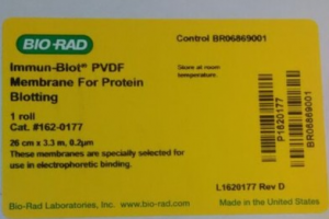 bio-rad 伯乐 WesternBlot 1620177  PVDF膜-印迹膜  转印膜 
